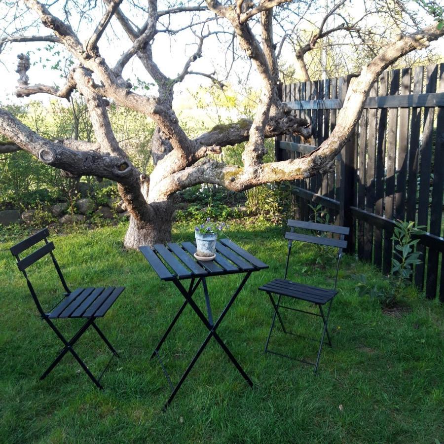 Pegasus Bed & Breakfast Hillerød Eksteriør bilde