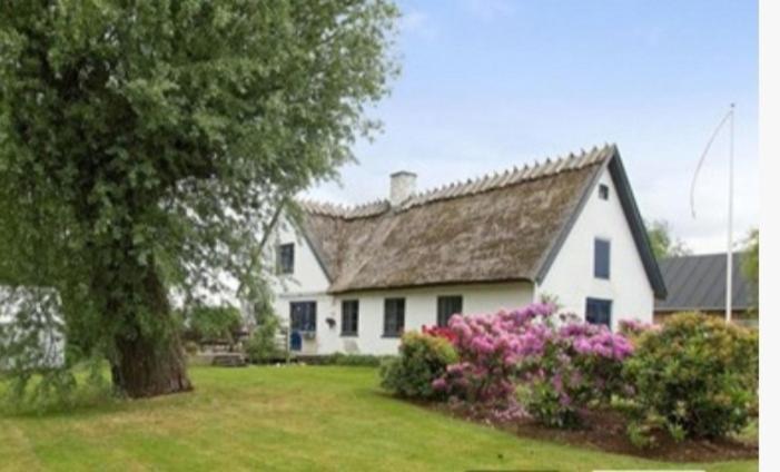 Pegasus Bed & Breakfast Hillerød Eksteriør bilde